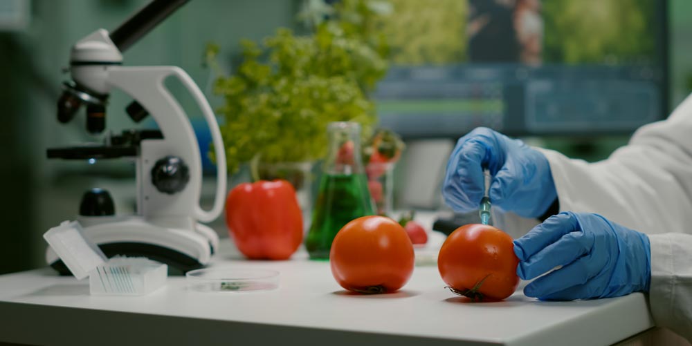 Dubai Food Control Department Approval